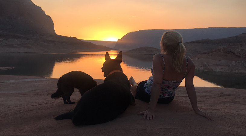 Dog and owner watching the sunset together, on the beach