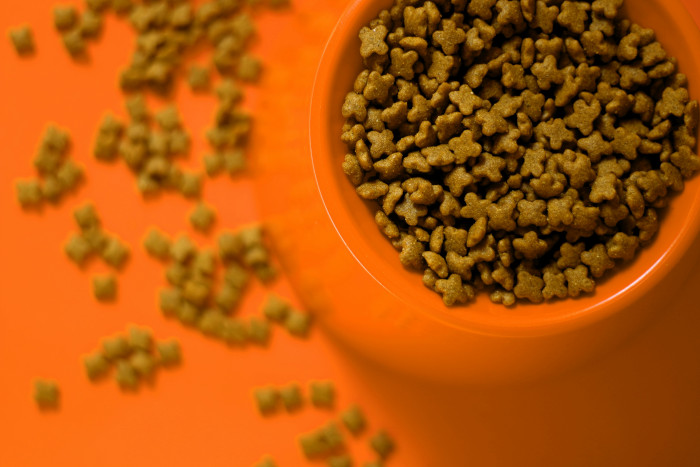 A close up of kibble in a bowl and scattered on the floor