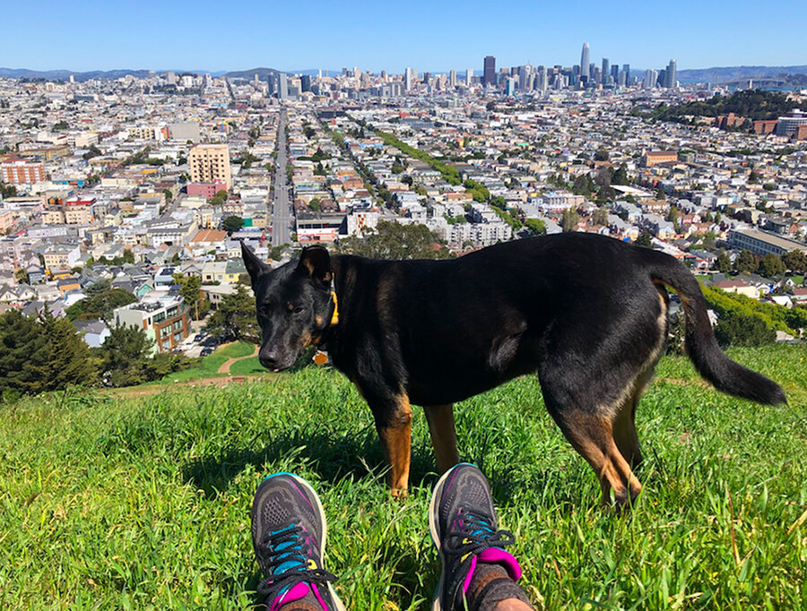 A runner and her dog taking a break on a hill overlooking San Francisco