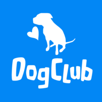 Business logo for Dog Club 