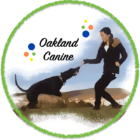 Business logo for Oakland Canine Concierge