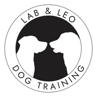 Business logo for Lab and Leo 