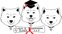 Business logo for Head of the Class Dog Training LLC