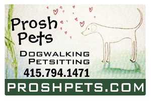 Business logo for Prosh Pets